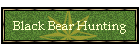 Black Bear Hunting