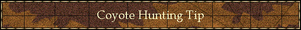 Coyote Hunting Tip